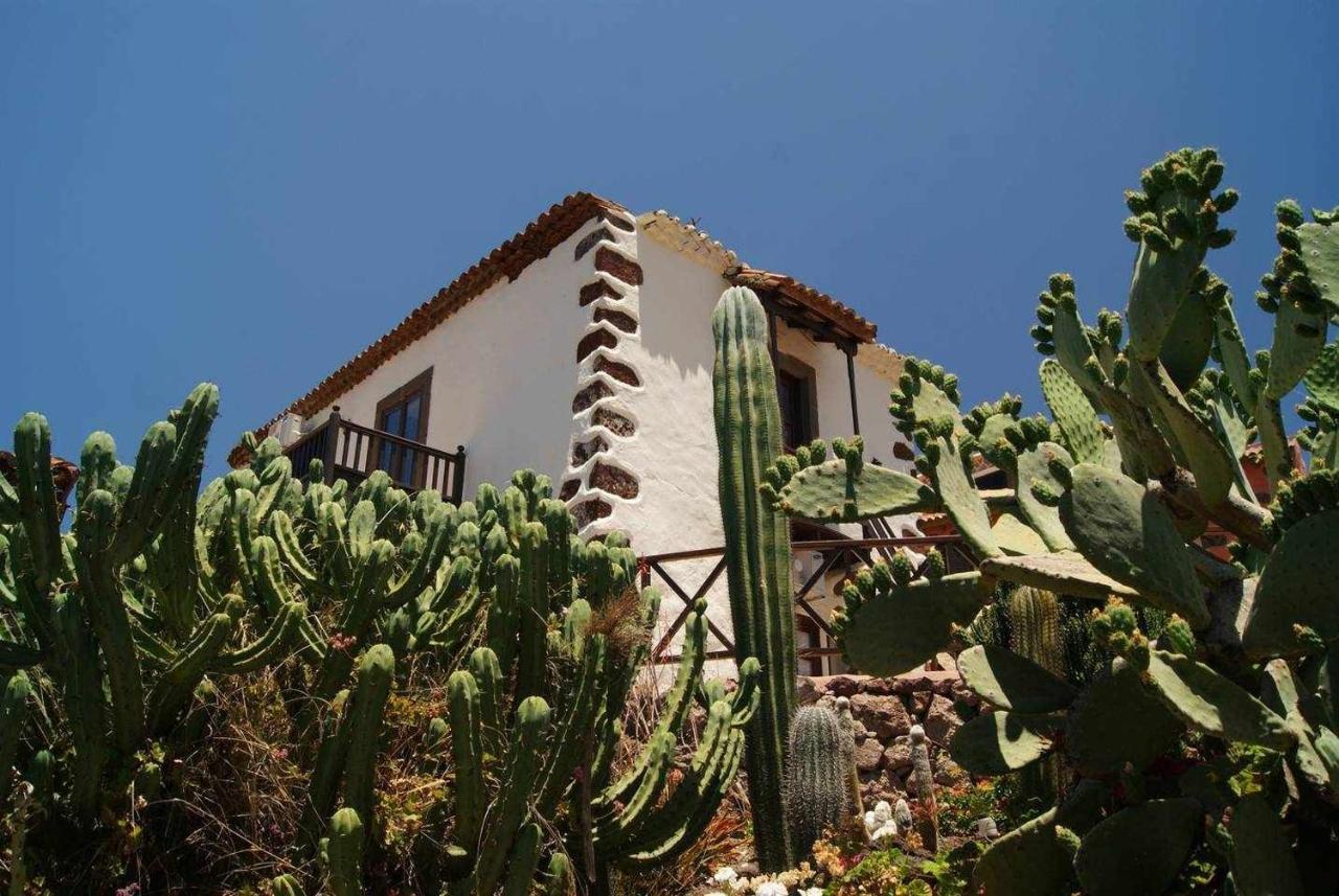 Casa Rural El Olivar La Oliva Santa Lucia De Tirajana Bagian luar foto